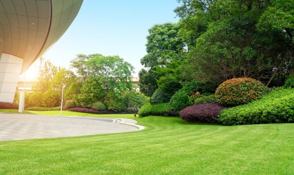 Cost of Commercial Lawn Mowing in Norwalk