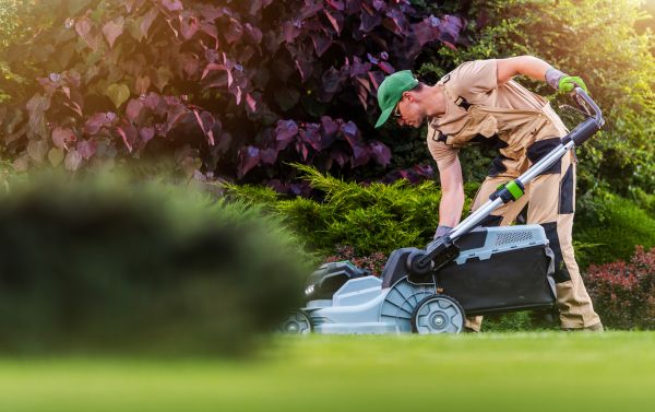 Cost of Lawn Care And Maintenance in Norwalk