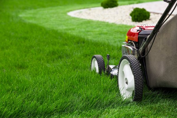 Cost of Lawn Cutting Service in Norwalk