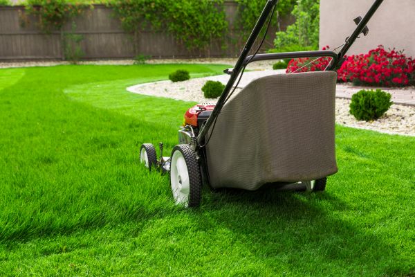 Cost of Lawn Mowing in Norwalk