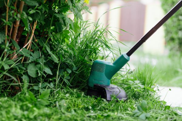 Cost of Weed Whacking in Norwalk