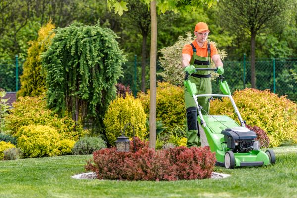 Cost of Yard Service in Norwalk