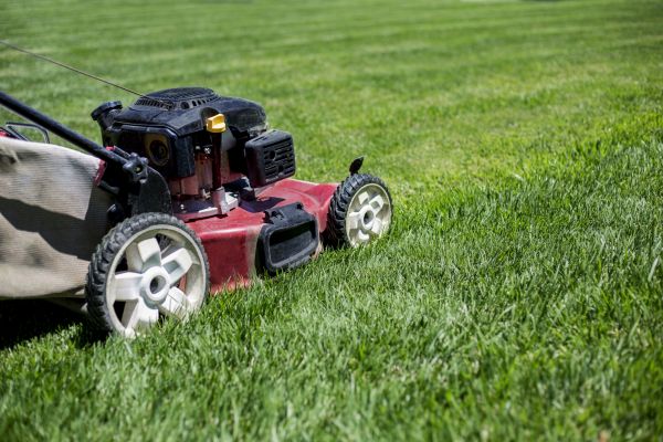 Cost of Routine Lawn Care in Norwalk