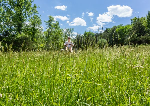 Cost of Long Grass Mowing in Norwalk