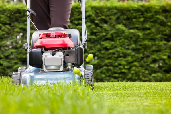 Cost of Grass Trimming Service in Norwalk