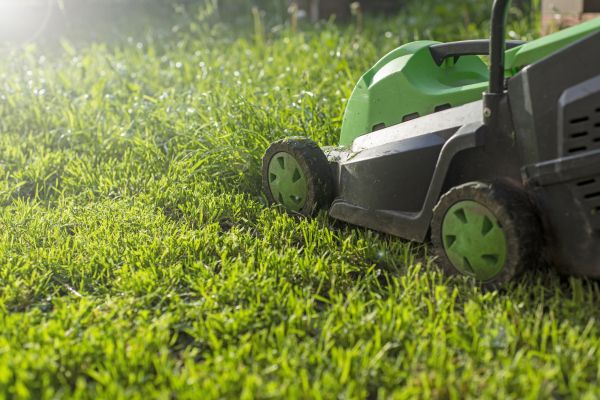 Cost of Lot Mowing in Norwalk