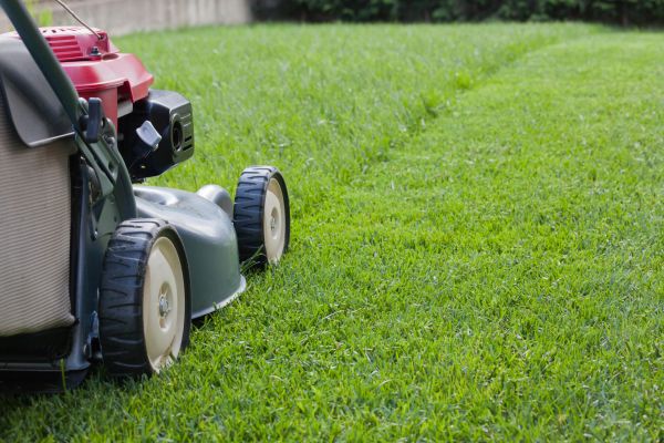 Cost of Spring Lawn Maintenance in Norwalk