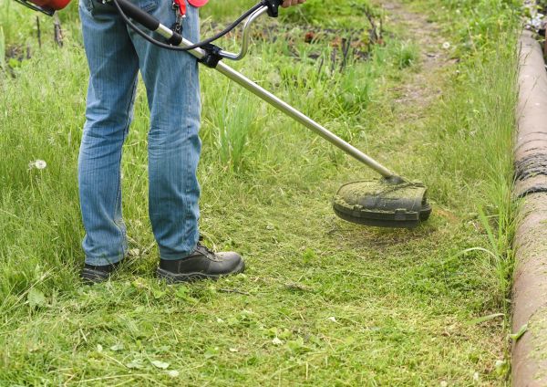 Cost of Tall Grass Trimming in Norwalk