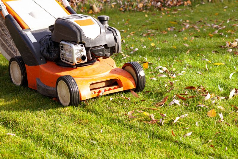 Clean Lawn Preparation