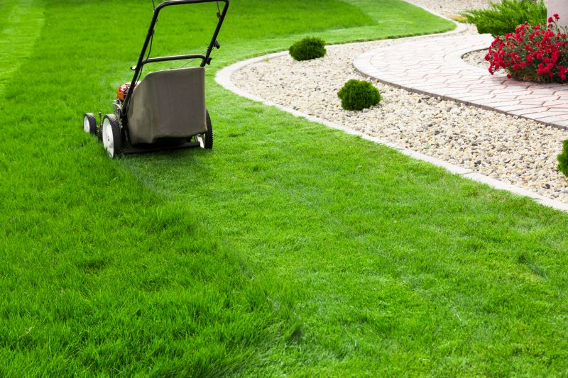 Lawn Care And Maintenance