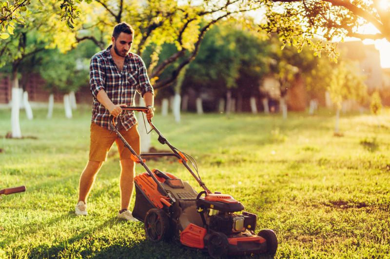 Late Afternoon Mowing
