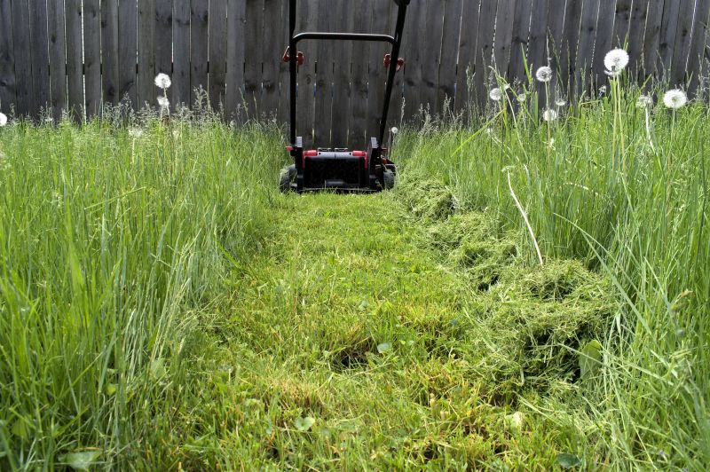 Weekend Mowing